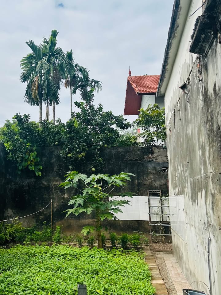 Đất tổ 34 phố Bắc Cầu 50m² giá nhỉnh 4 tỷ - Sổ đỏ chính chủ ngay!