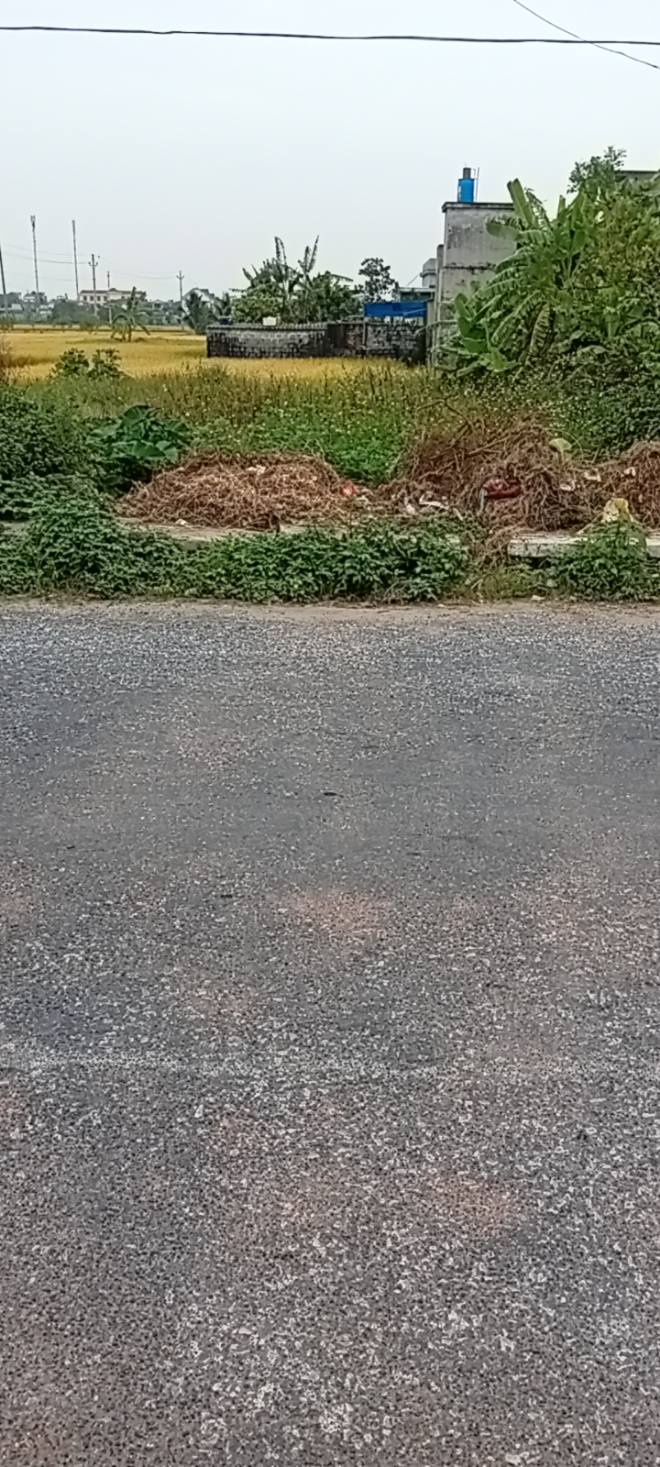 Đất thổ cư 92m² tại thôn Việt Thắng, Nam Thanh, Tiền Hải - Kinh doanh thuận lợi!