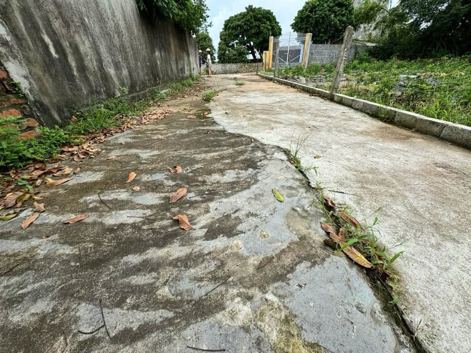 Đất nền 85m² thôn Thiên Kha, xã Tiên Cường giá chỉ 800 triệu - Cơ hội đầu tư hiếm có!