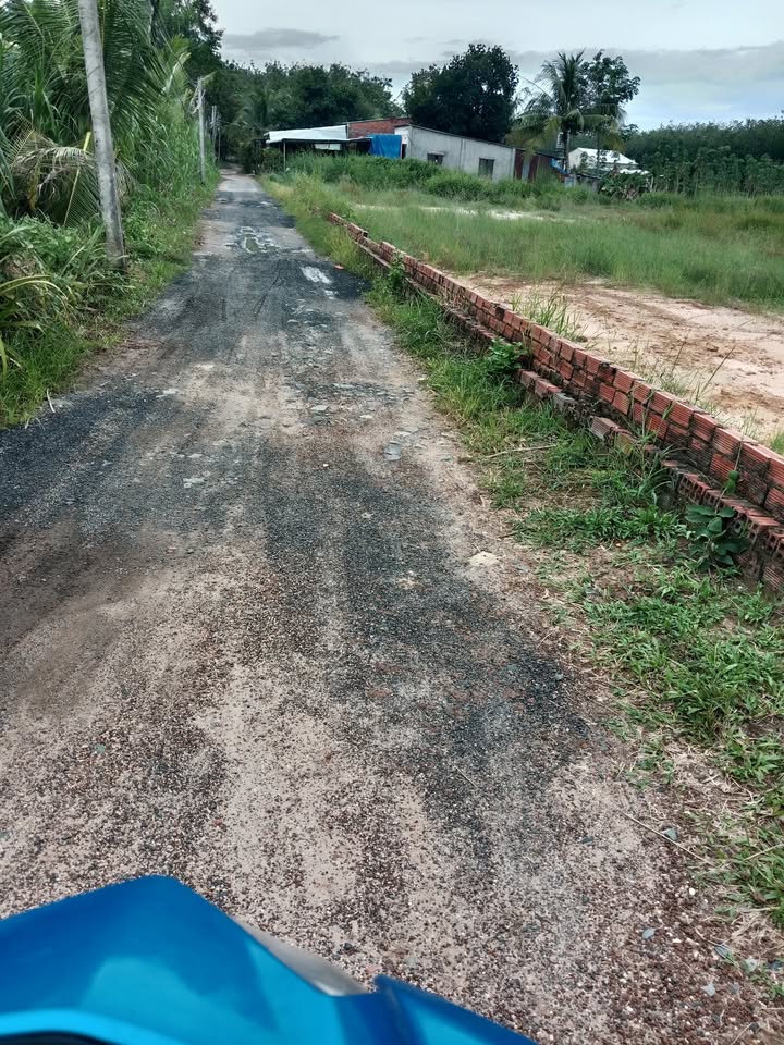 Đất nền thổ cư 450m² tại Cụm 3 Thạnh Tây, Tân Biên - Giá chỉ 440 triệu!