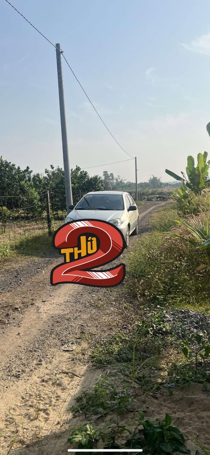 Đất 1 sào Sông Thao, Bàu Hàm, 1003m² - Sổ hồng chính chủ, giá chỉ 800 triệu!