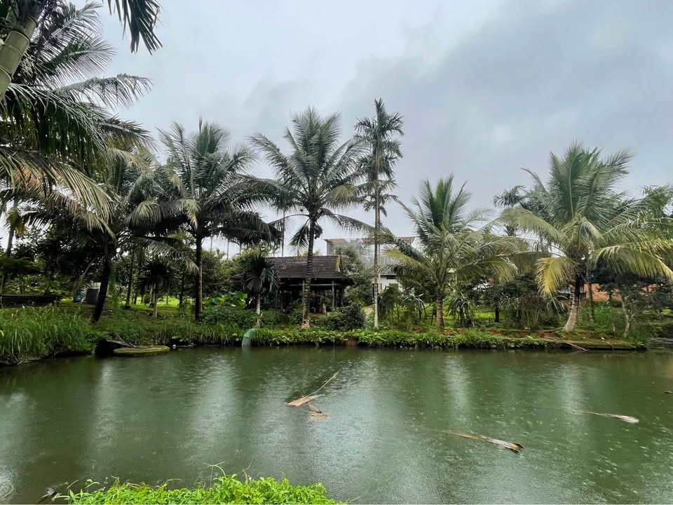 Lô đất 02 mặt tiền đường Nguyễn Kim, phường Buôn Hồ 4353m² giá 20.5 tỷ - Cơ hội đầu tư tiềm năng!