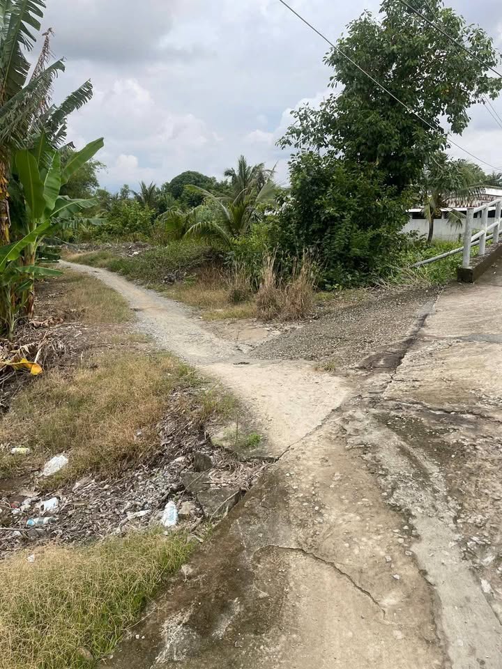 Đất ruộng 4100m² tại Đông Thuận, Cần Thơ - Tiềm năng phát triển cao!