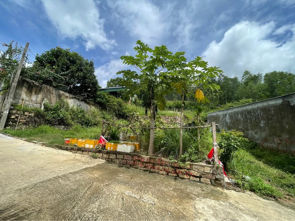 Đất nền đường Mai Thị Võng, Nha Trang 100m² giá 399 triệu - Đường ô tô vào tận nơi!