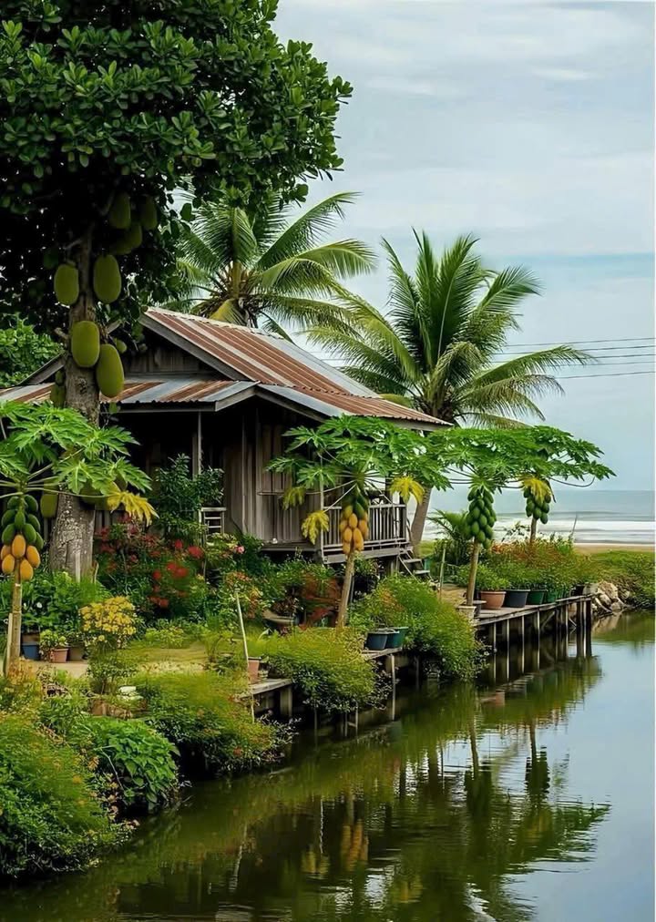 Đất nền Láng Dài 1128m² giá chỉ 2.3 tỷ - Cơ hội đầu tư tuyệt vời!