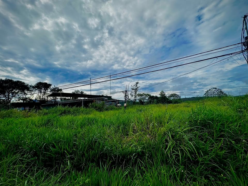 Đất mặt tiền Quốc lộ 14, Thôn 9, Nhân Cơ 1060m² giá 9.018 tỷ - Tiềm năng sinh lời cao!