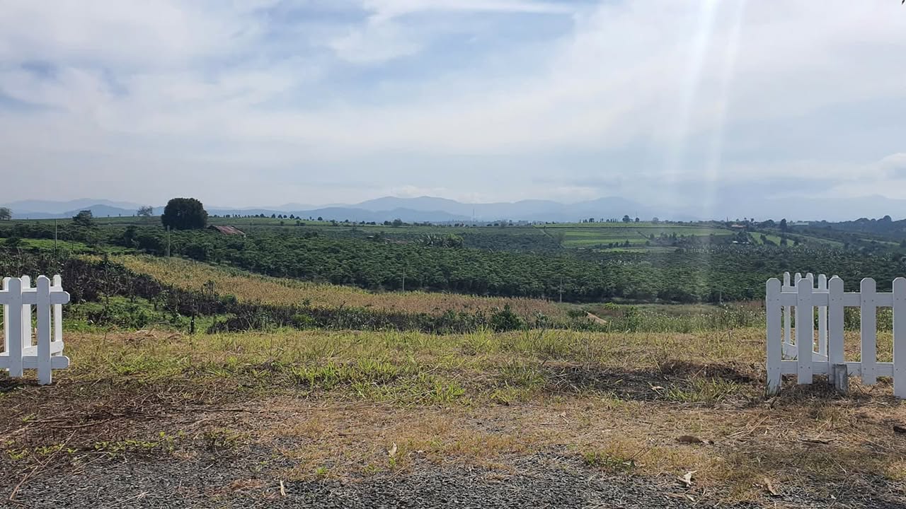 Đất thổ cư Lộc An Bảo Lâm 100m² giá thỏa thuận - Cơ hội đầu tư tốt!