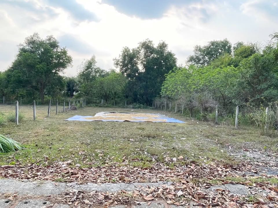 Đất thổ cư 200m² xã Thái Mỹ, huyện Củ Chi, giá 3.35 tỷ - Sổ hồng riêng, vị trí đẹp!