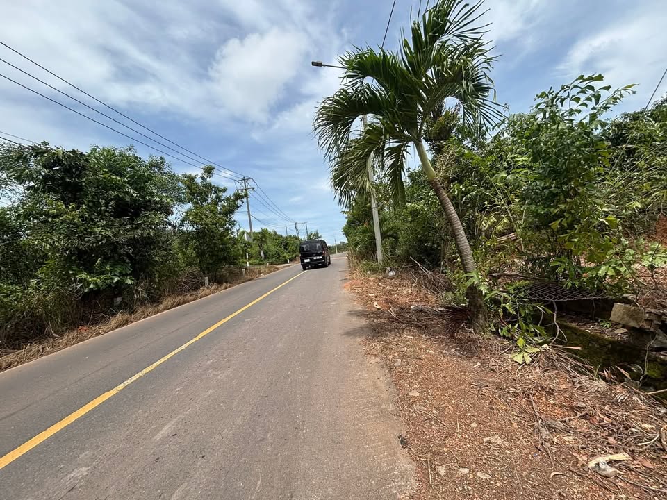 Đất mặt tiền đường 101, 155m² giá 690 triệu - Sổ đỏ thổ cư 100%!