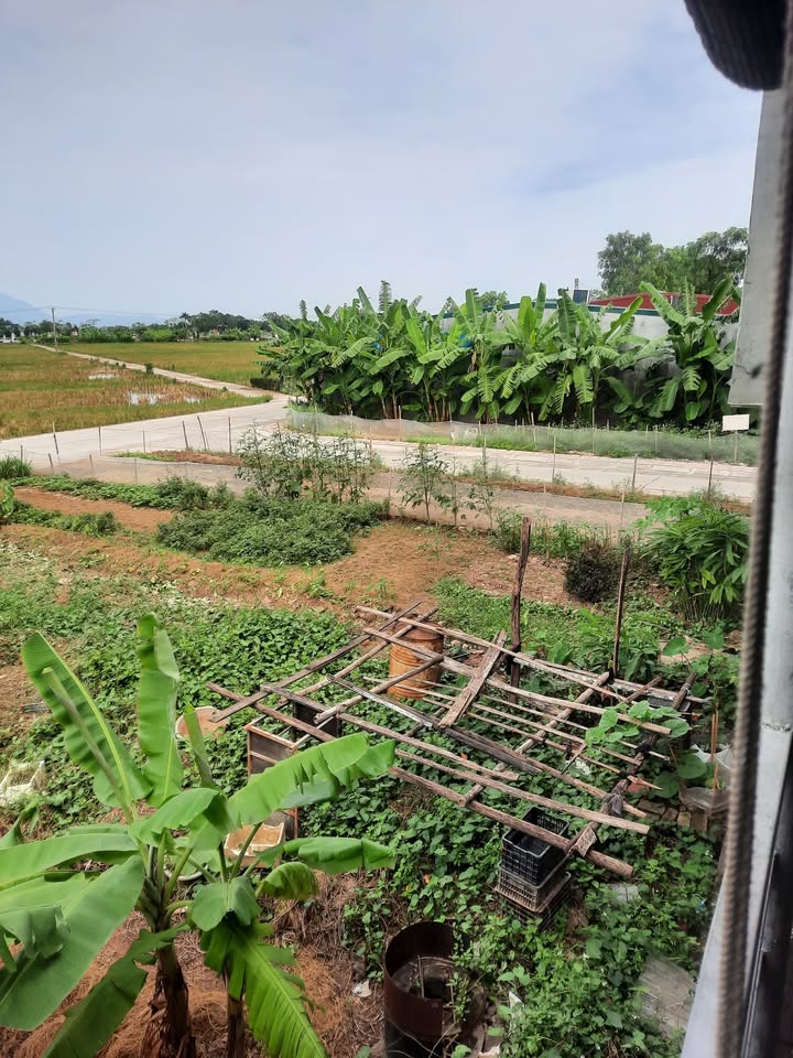 Đất nền 2 mặt tiền Yên Phương, Yên Lạc 100m² giá 2.6 tỷ - Cơ hội đầu tư sinh lời!