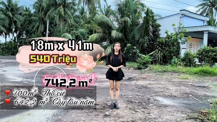 Đất thổ cư 742,2m² tại Tân Hùng, Trà Vinh - Giá chỉ 540 triệu, đầu tư sinh lời!