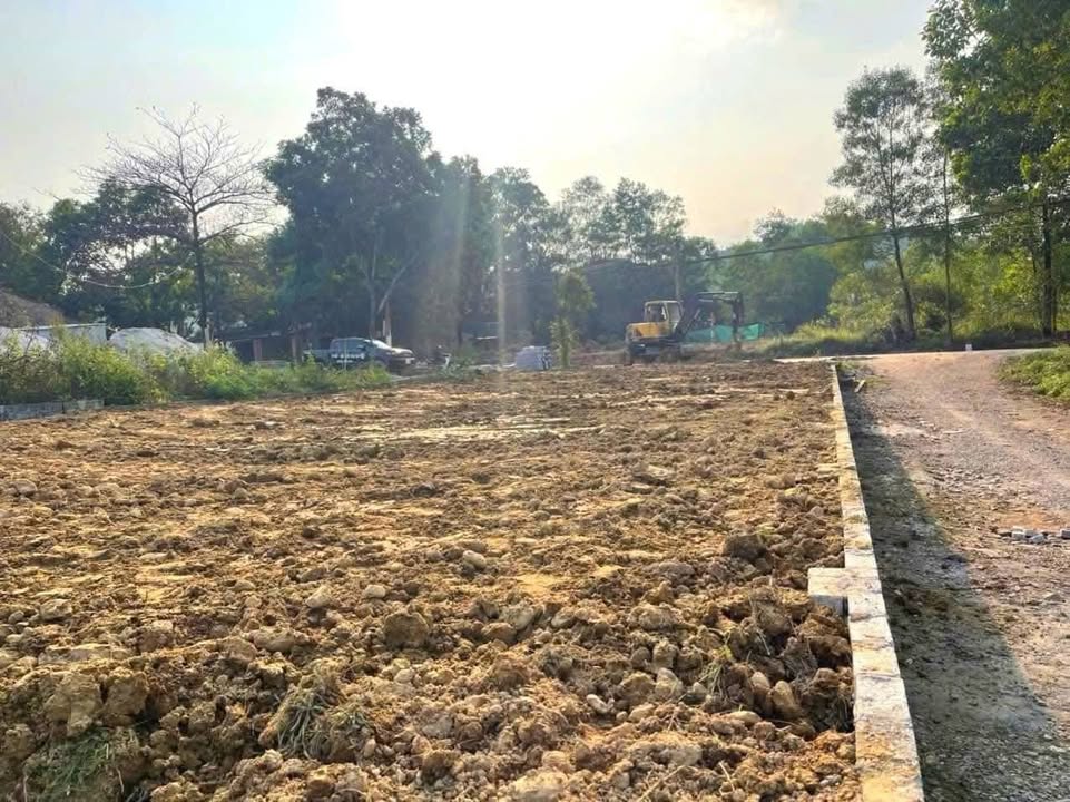 Đất thổ cư 107m² tại đường 261 Minh Đức - Giá chỉ 1.4 tỷ, cơ hội đầu tư sinh lời!