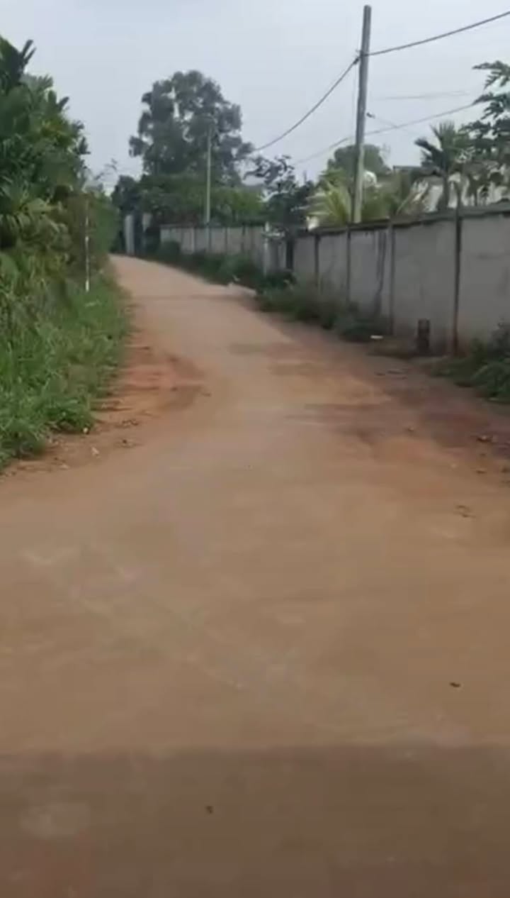 Đất nền Suối Nghệ 300m² giá 1.25 tỷ - Cơ hội đầu tư tuyệt vời!