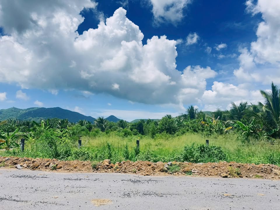 Đất nền Phước Hải 1000m² giá 5 tỷ - Cách biển chỉ 4km!