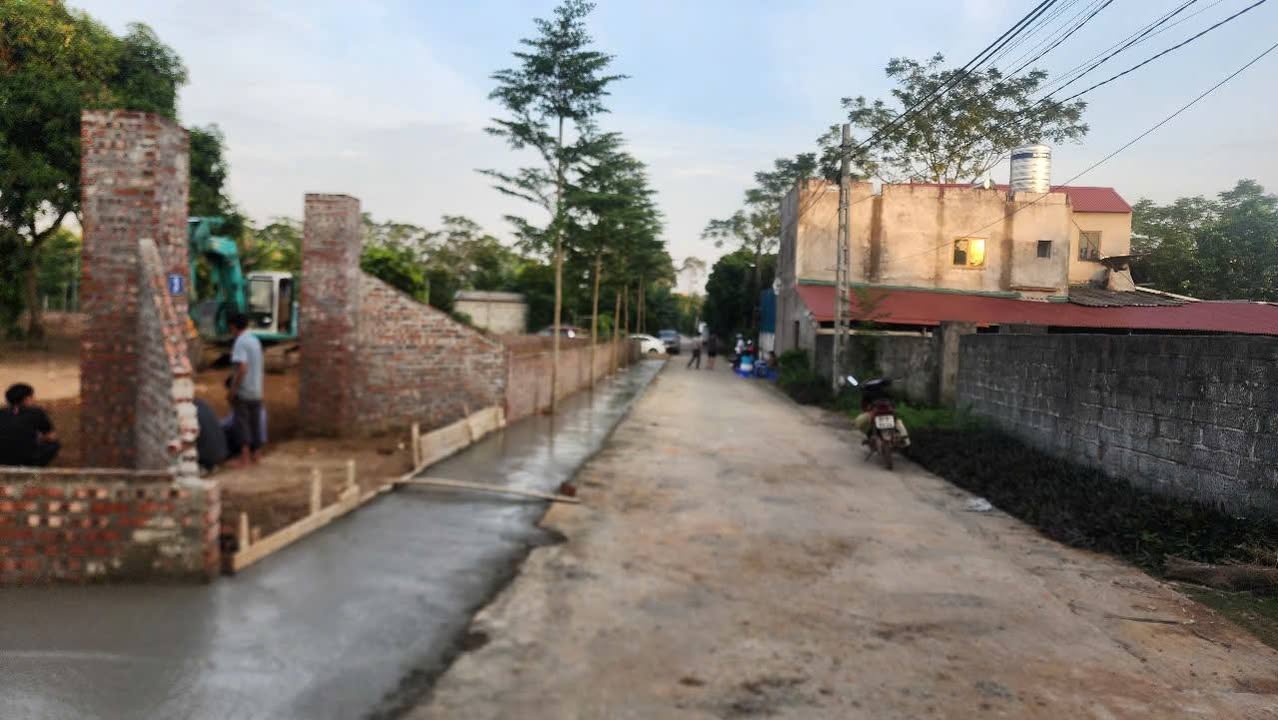 Đất ở Cẩm Lĩnh 100m² giá chỉ 900 triệu - Chốt nhanh, sổ đỏ chính chủ!