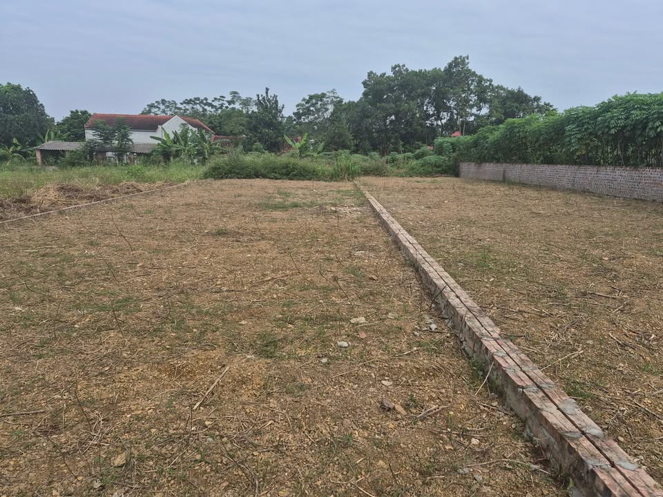 Đất Cẩm Lĩnh, Ba Vì 300m² giá 1 tỷ - Vị trí đẹp, giao thông thuận lợi!