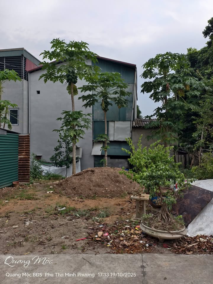 Đất ở đô thị TP Việt Trì 72m² - Sổ hồng chính chủ, giá thỏa thuận!