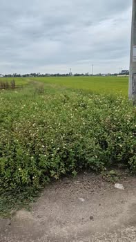 Đất nền khu phân lô thôn 6 Khánh Trung 135m² giá 1.4 tỷ - Cơ hội đầu tư hiếm có!