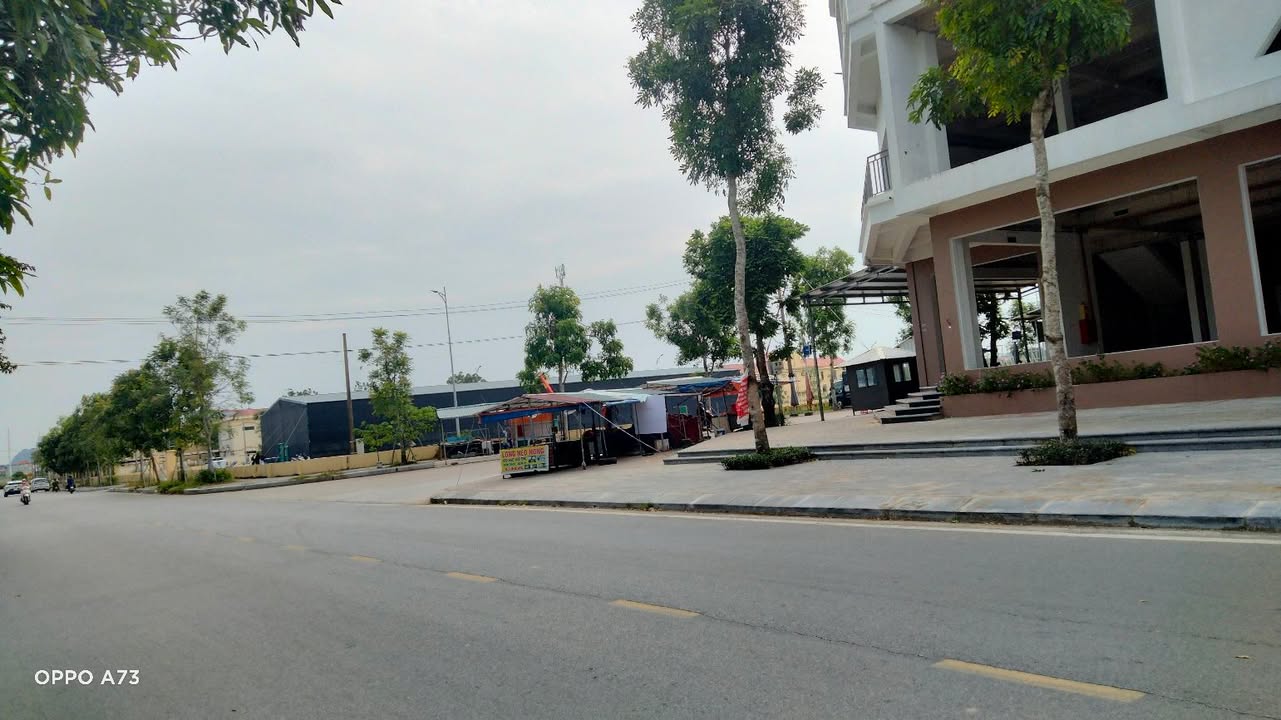 Đất Ninh Tiến 95m² giá rẻ - Vị trí đắc địa mặt đường chợ đầu mối!