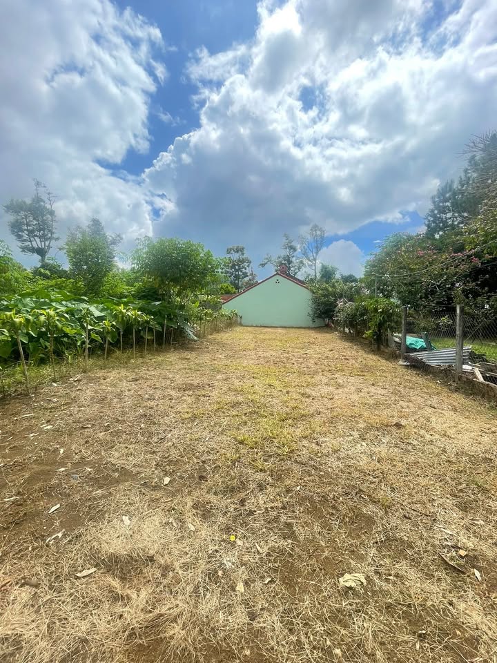 Đất nền B'Lao, Bảo Lộc 210m² giá 2.5 tỷ - Khu dân cư yên tĩnh, thuận tiện giao thông!