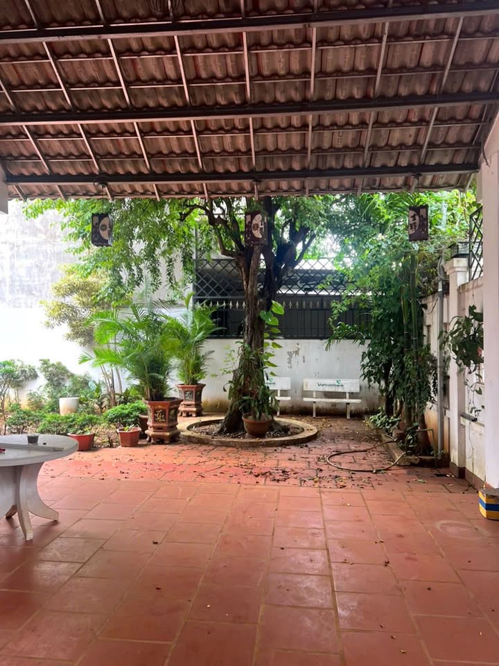 Nhà sân vườn tại trung tâm phường Thống Nhất, 345m² giá 6.8 tỷ - Không thể bỏ lỡ!