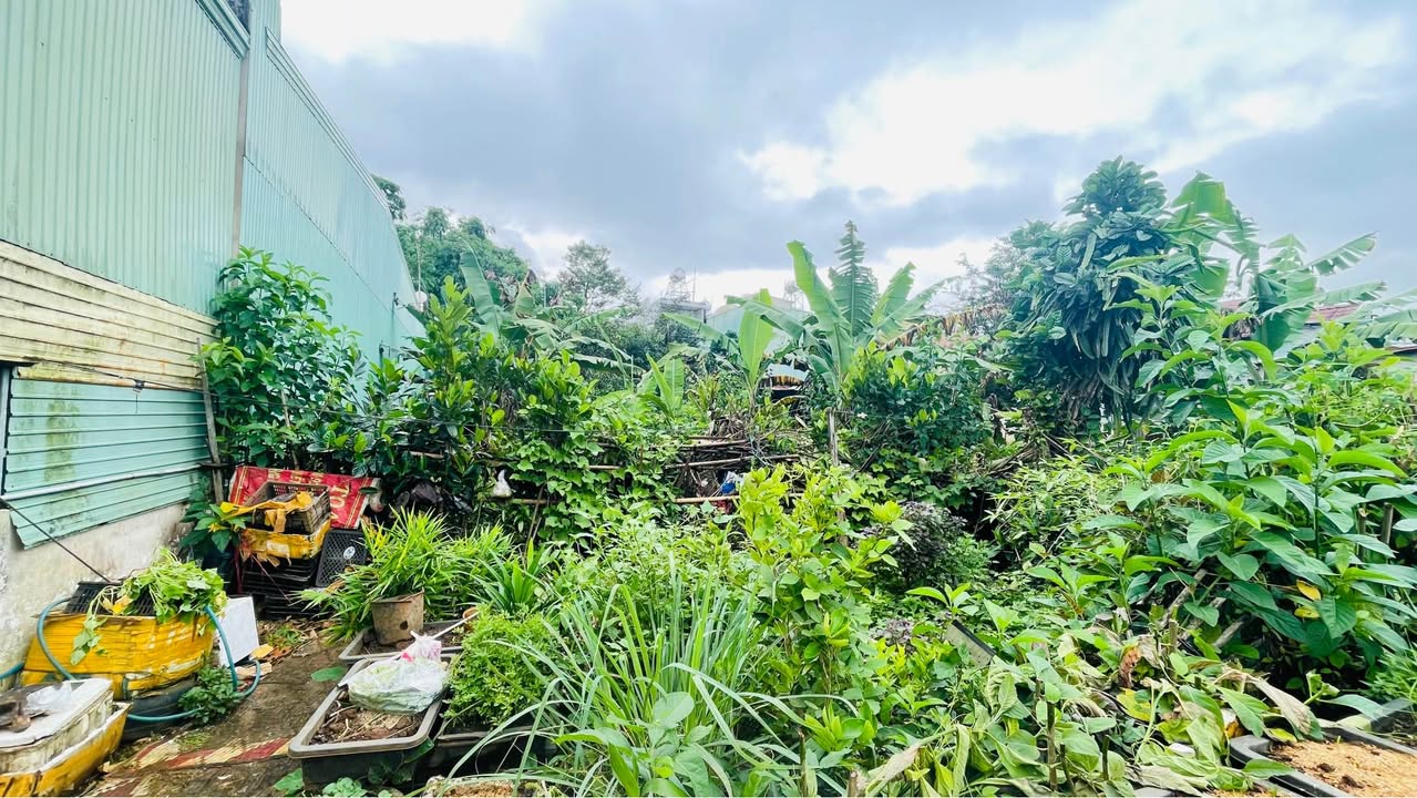 Đất mặt tiền Nguyễn Hữu Thọ, Pleiku 330m² giá 4.299 tỷ - Cơ hội đầu tư sinh lời!