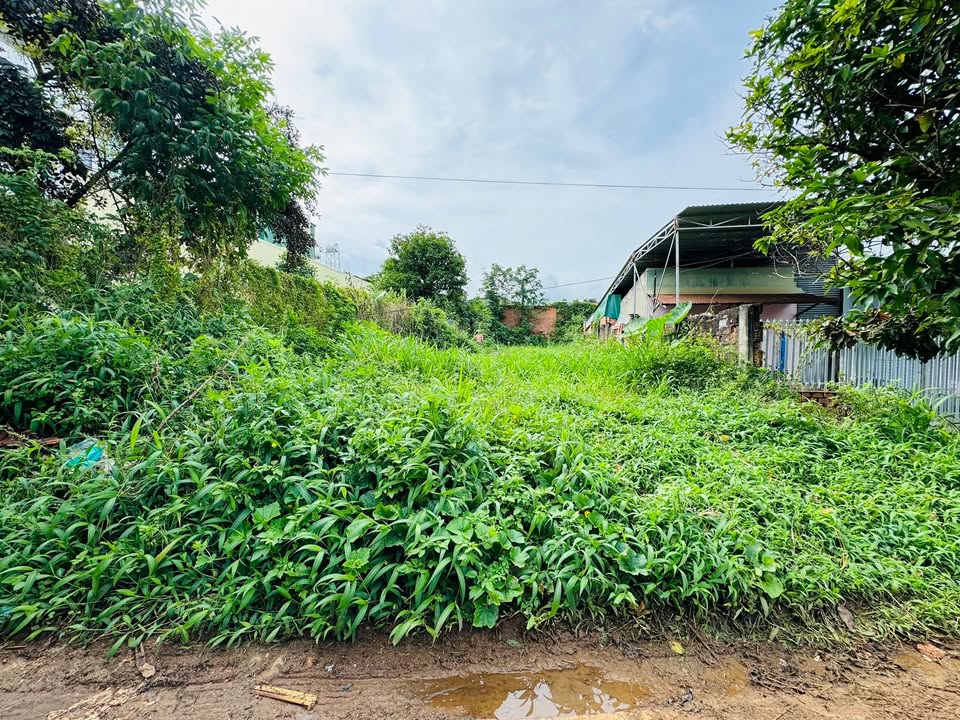 Đất thổ cư 272.8m² hẻm 803 Lê Duẩn, Pleiku - Giá 1.35 tỷ, thương lượng ngay!