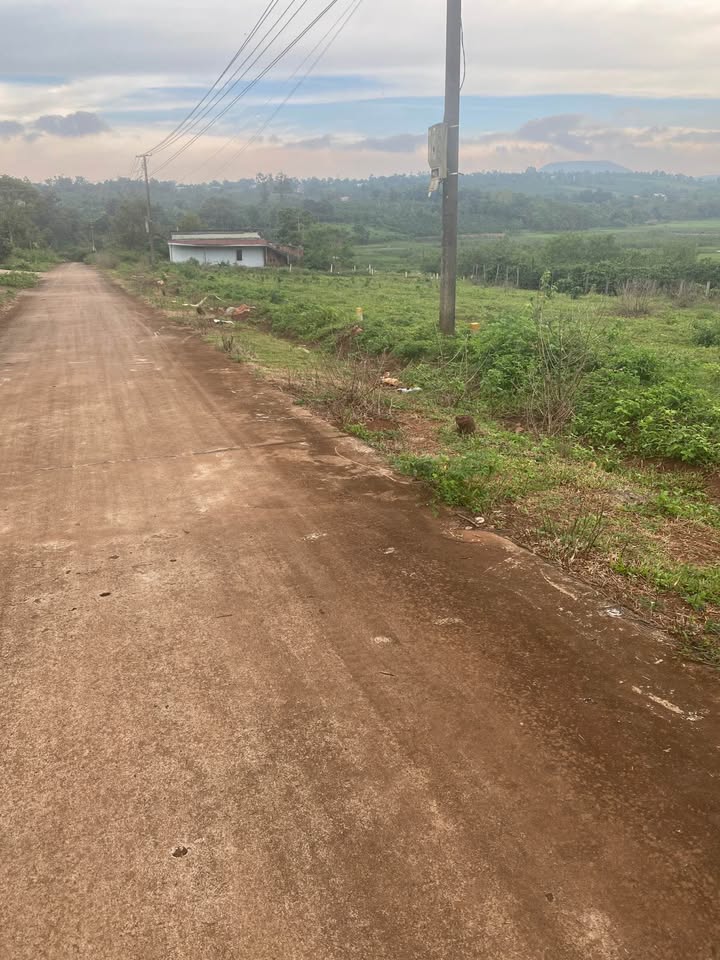 Đất nền chính chủ đường Lí Chính Thắng, phường Diên Hồng, 125m² - Đầu tư sinh lời ngay!