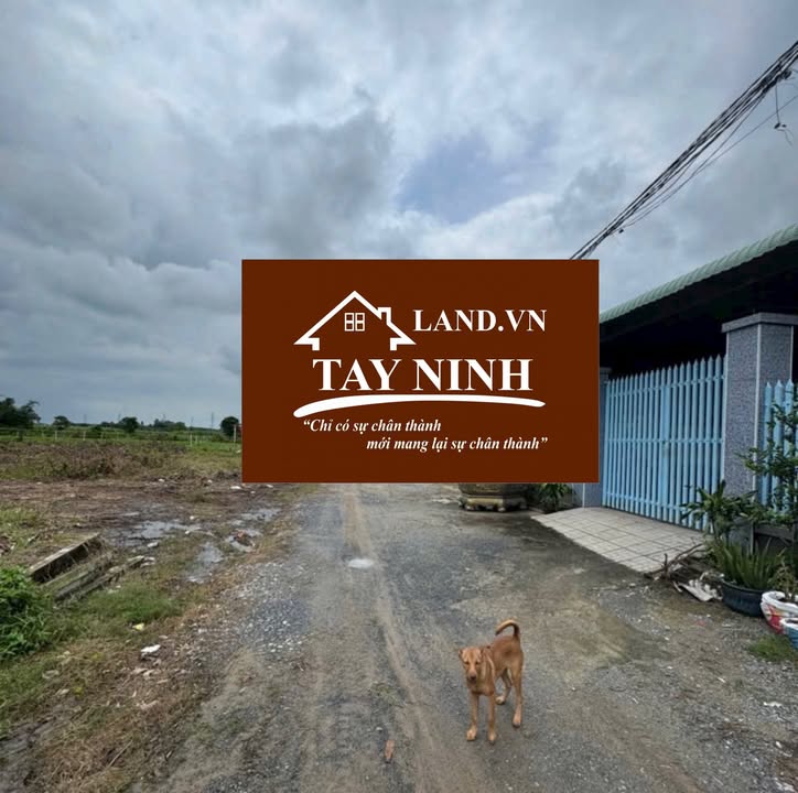 Đất thổ cư 136m² xã Phan, Dương Minh Châu, Tây Ninh - Giá chỉ 299 triệu!