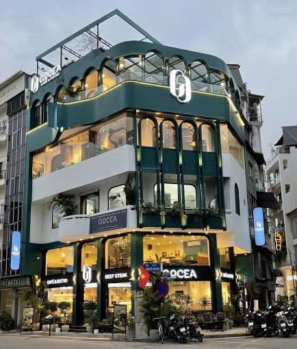 Mặt bằng cho thuê 630m² tại Phạm Ngọc Thạch, Đống Đa - Kinh doanh lý tưởng!