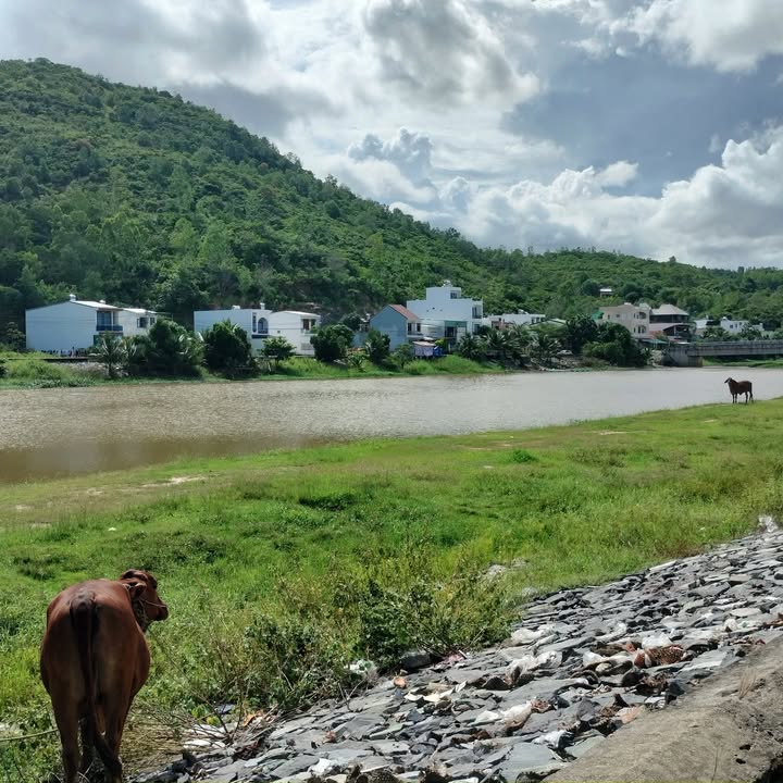 Đất nền Thủy Tú Vĩnh Thái 80m² - View sông tuyệt đẹp, giá thương lượng!