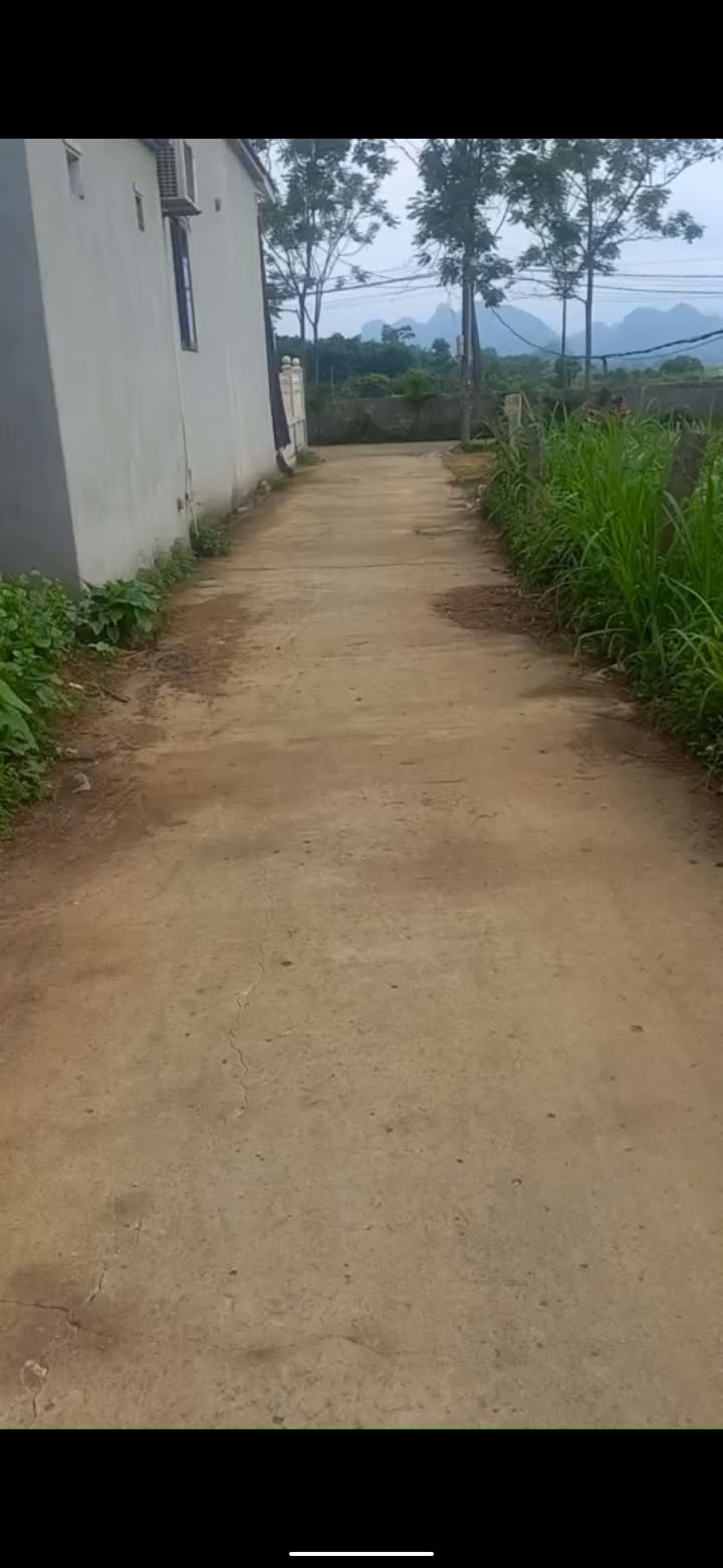 Đất thổ cư Yên Sơn - Tam Điệp 105m² giá thỏa thuận - Cơ hội đầu tư tuyệt vời!