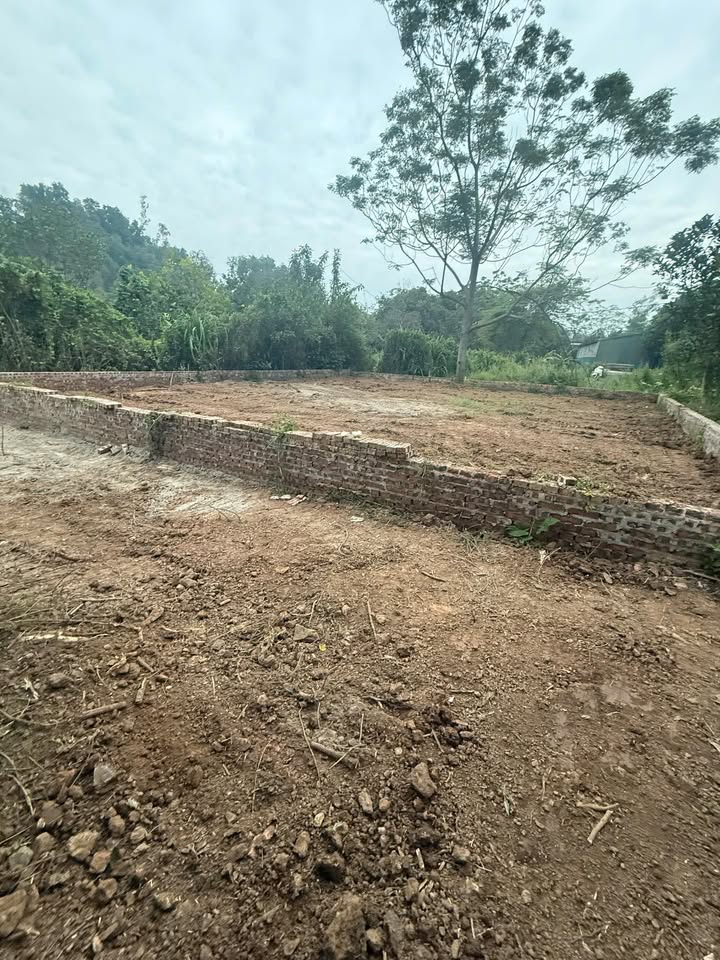 Đất thổ cư 240m² tại Chúc Sơn, Chương Mỹ giá chỉ 1 tỷ - Cơ hội không thể bỏ lỡ!