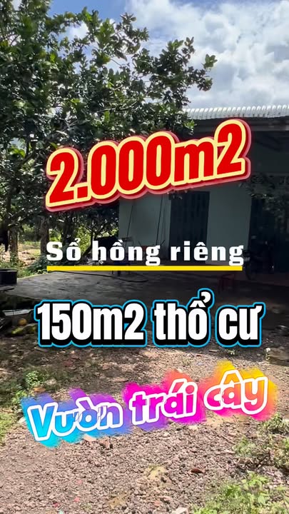 Đất Tà Lài, Tân Phú, Đồng Nai 2.000m² giá 1.35 tỷ – Đầu tư sinh lời ngay!