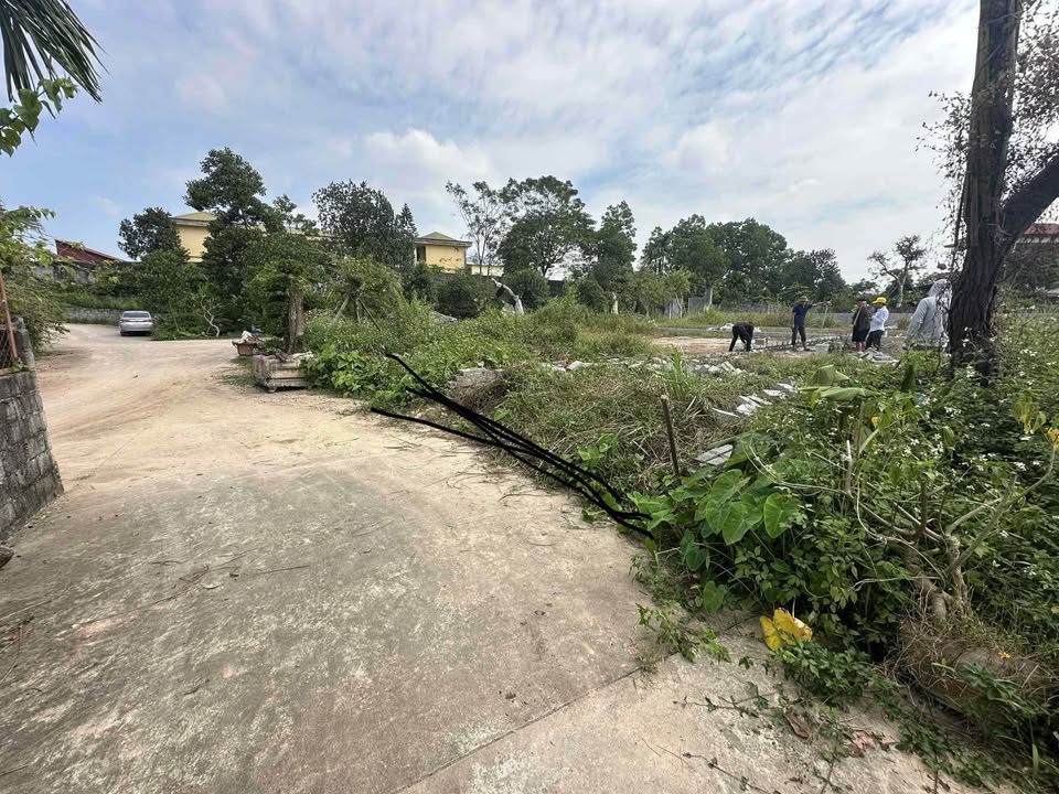 Đất thổ cư Đại Phúc 83.5m² giá 1 tỷ - Sổ đỏ chính chủ