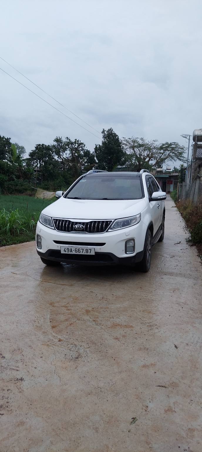 Đất sào 7344m² tại Quảng Lập, Đơn Dương - Giá chỉ 4.773 tỷ, sổ đỏ chính chủ!