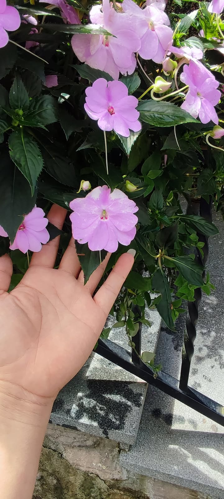 Đất nền Vụ Bản 121m² giá 800 triệu - Vị trí thuận lợi, đầu tư sinh lời!