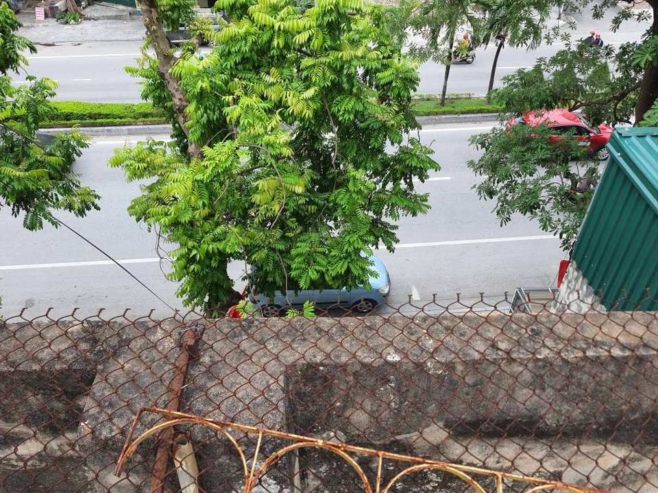Nhà 3 tầng mặt đường Quang Trung, Thanh Hóa, 125m² giá 16 tỷ - Vị trí vàng cho kinh doanh!