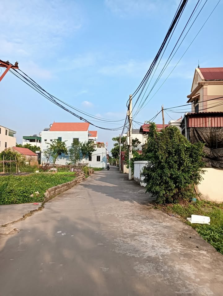 Đất Vân Tảo Thường Tín 84m² giá 3.075 tỷ - Đầu tư sinh lời hiệu quả!