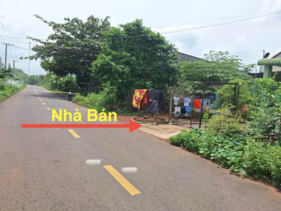 Nhà cấp 4 Trảng Bom 315m² giá chỉ 900 triệu - Đầu tư sinh lời ngay!