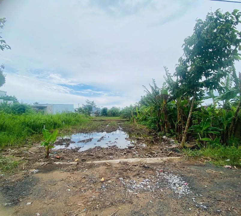Đất nền Nguyễn Sáng, Vĩnh Thông, Rạch Giá 110m² giá 2.5 tỷ - Đầu tư sinh lời ngay!