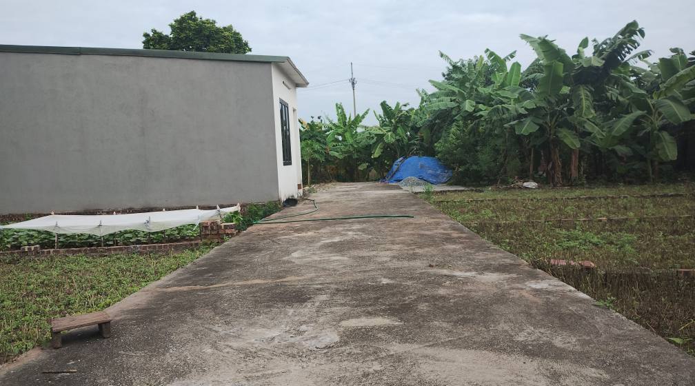 Bán đất Lệ Chi Gia Lâm 50m² giá 2 tỷ - Ô tô vào tận nhà!