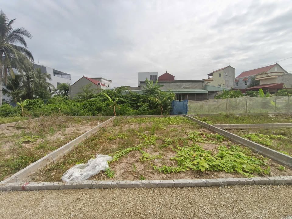 Lô đất Tân Thành, Dương Kinh 40,5m² giá 900 triệu - Đầu tư sinh lời ngay!