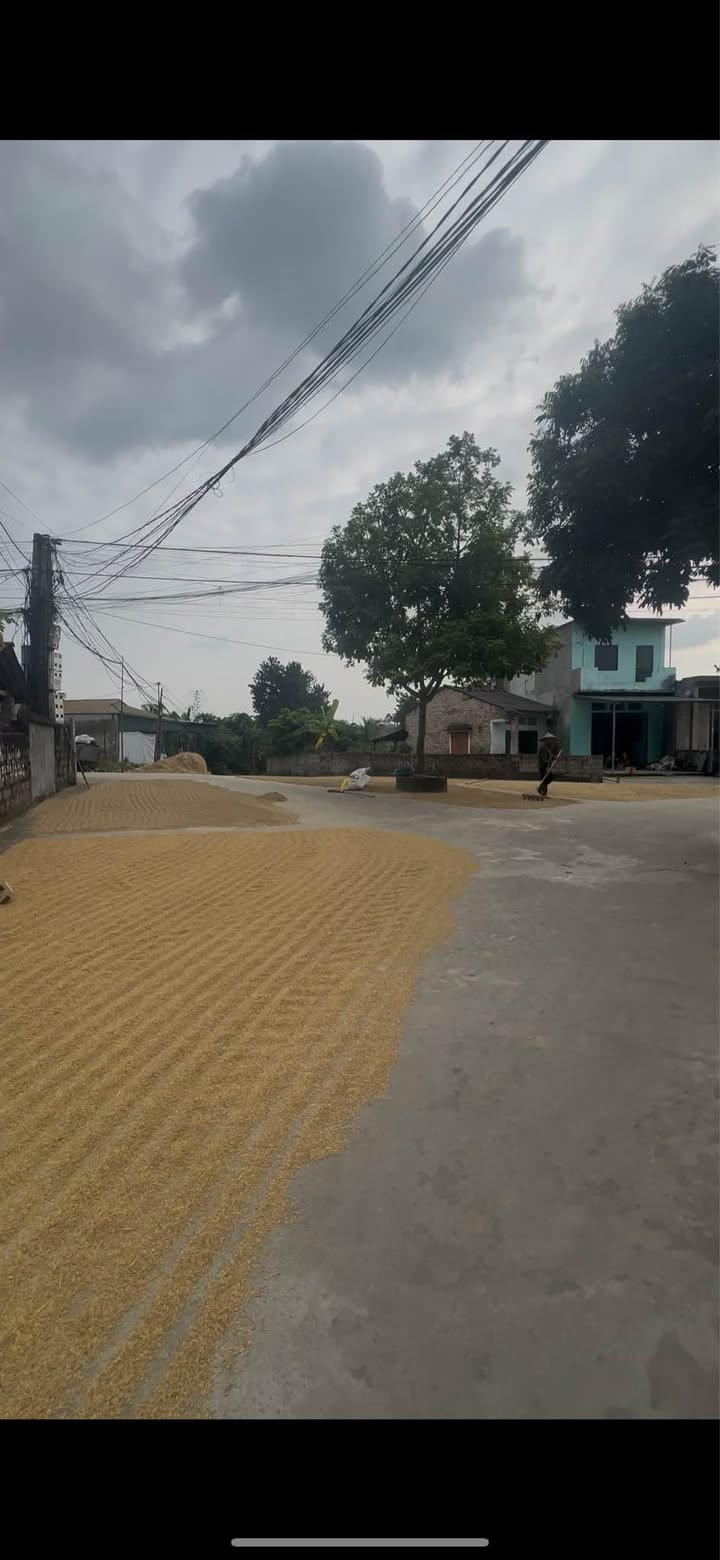 Đất nền Thái Long 165m² giá chỉ 600 triệu - Đầu tư sinh lời ngay!