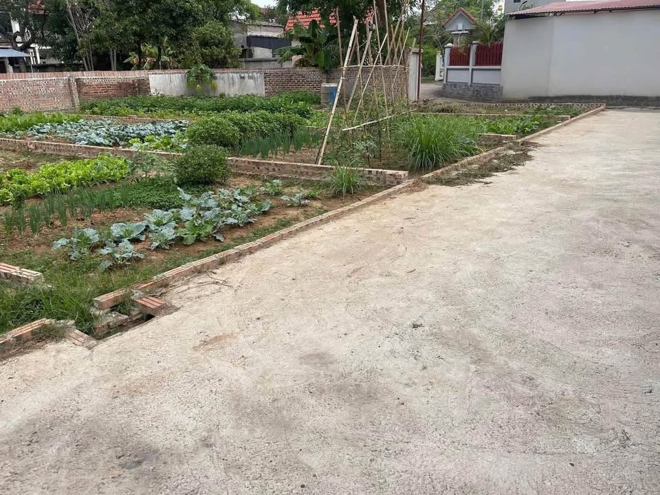 Đất nền 65m² tại Yên Ninh, Hiền Ninh, Sóc Sơn - Giá chỉ 1.1 tỷ!