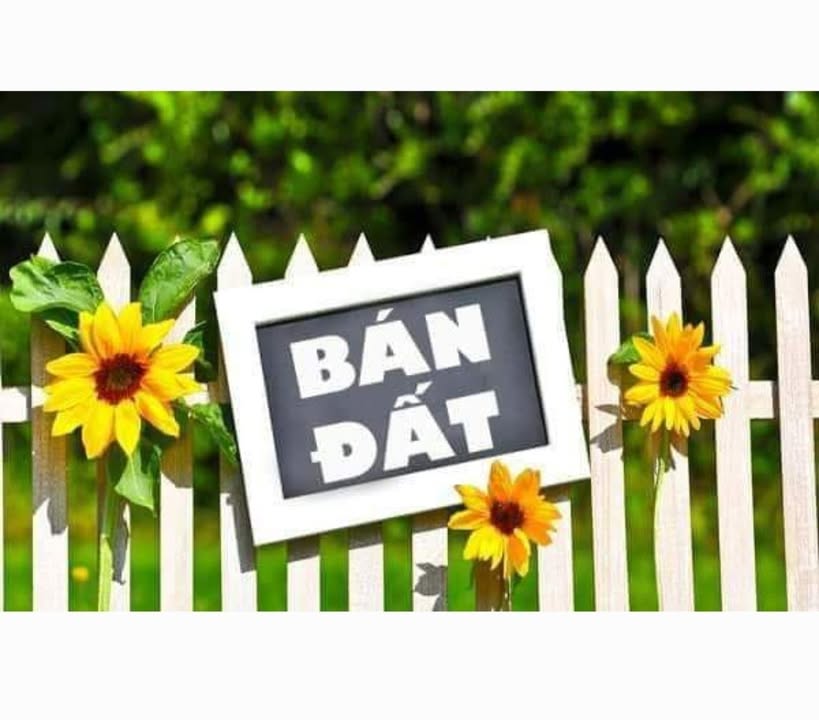 Đất nền Phú Hữu, Quận 9, 50.4m² giá 3.25 tỷ - Pháp lý rõ ràng, thương lượng tốt!