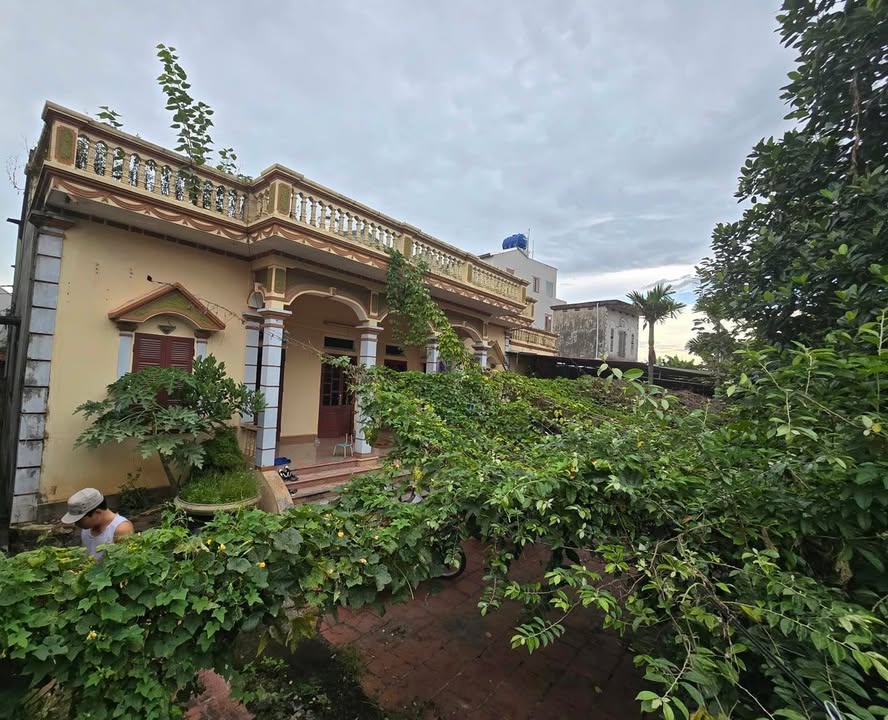 Đất Đặng Xá Gia Lâm 600m² giá tốt - Cơ hội đầu tư không thể bỏ lỡ!