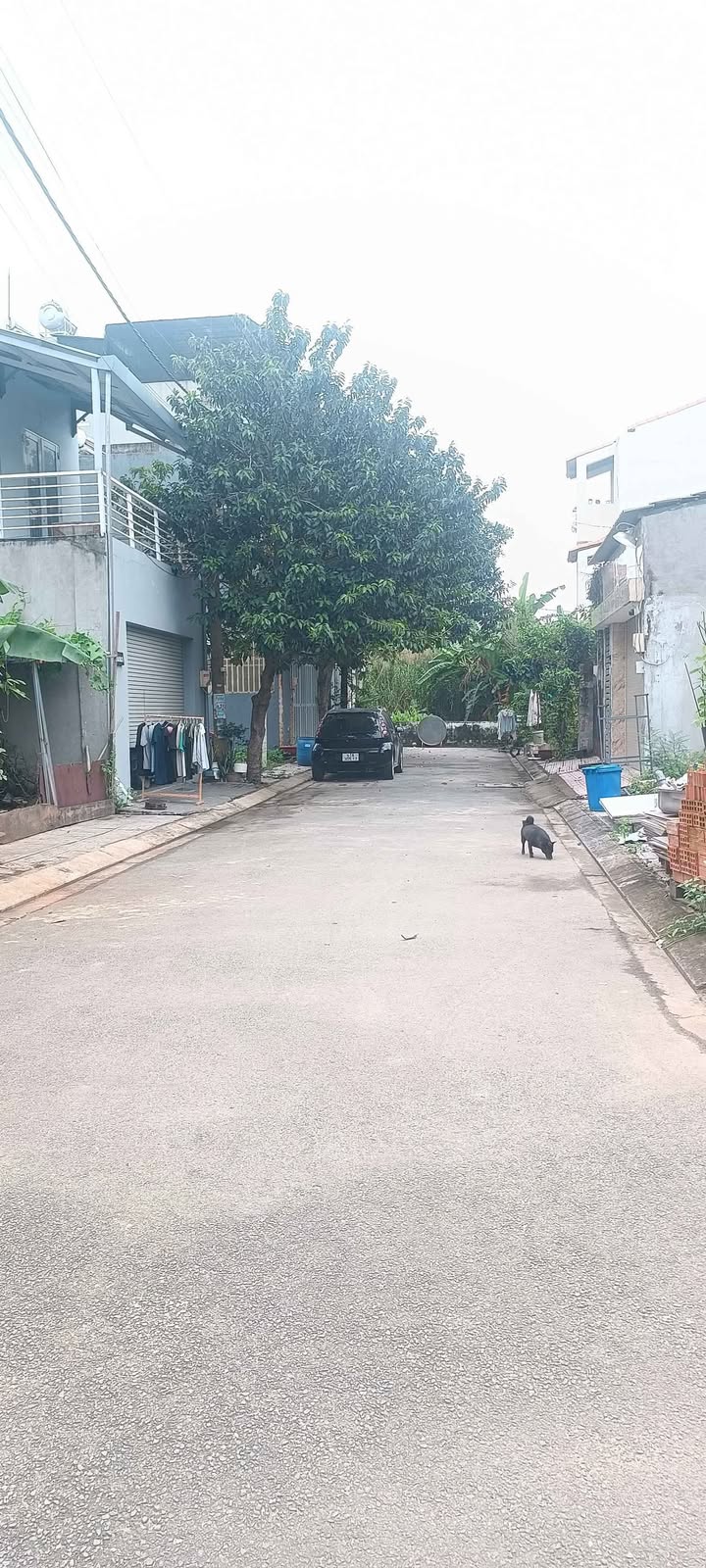 Đất nền KDC Sam Sung quận 9, 50m² giá 3,9 tỷ - Cơ hội đầu tư hấp dẫn!