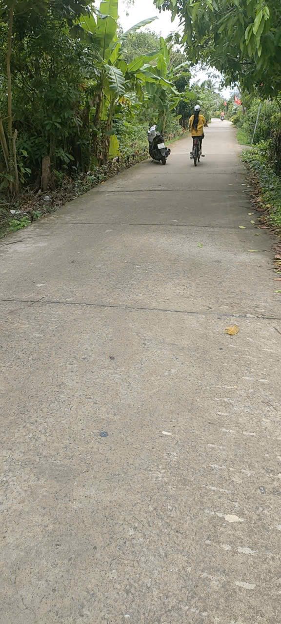 Đất mặt tiền Huyện lộ 54C, xã Cẩm Sơn, 356.6m² - Giá chỉ 3.565 tỷ!