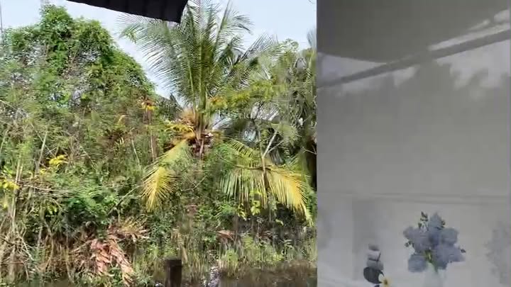 Đất nền đường ô tô Tân Phong, Cai Lậy 400m² giá 850 triệu - Cơ hội đầu tư tuyệt vời!